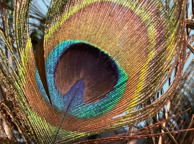 Apartman La Casa Delle Janas *